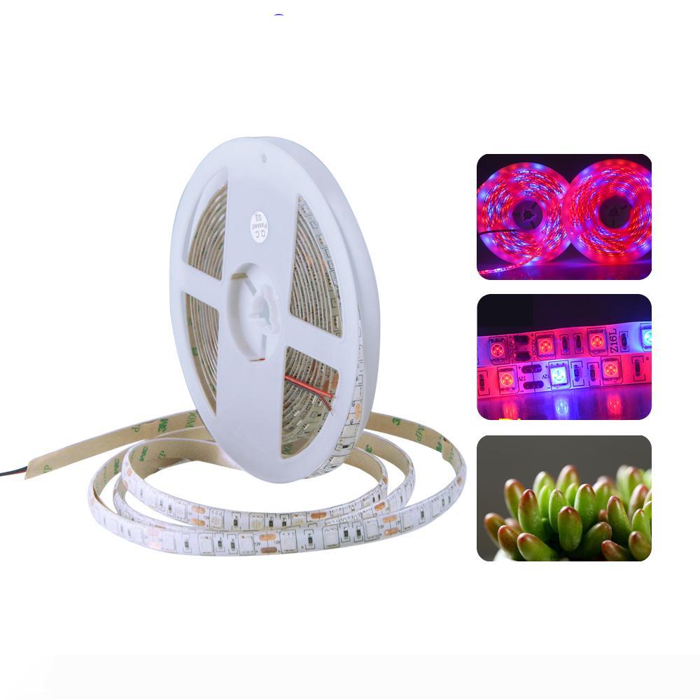 LED Phyto Lamp Grow Strip Light 5M 12V 5050SMD Red Blue Waterproof Full Spectrum 300Leds Ribbon String LED Plant Light FitoLampy 
LED Phyto Lamp Grow Strip Light 5M 12V 5050SMD Red Blue Waterproof Full Spectrum 300Leds Ribbon String LED Plant Light FitoLampy