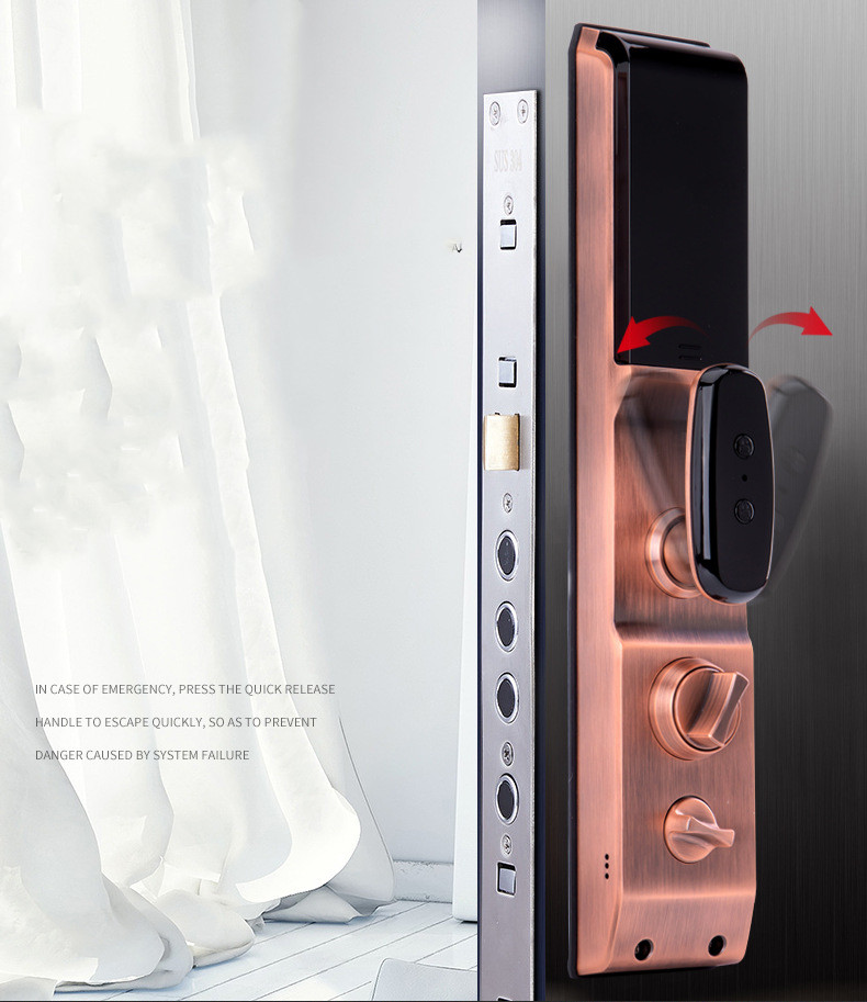Anti-theft Smart Door Facial Recognition System Lock Face Fingerprint Automatic Password Golden black +Exquisite retail box
