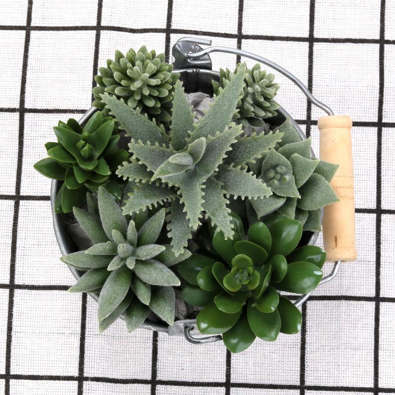 7pcs Artificial Succulent Artificial Plant Faux Succulent Plants Flower For Home Office DIY Garden Decor Accessories
7pcs Artificial Succulent Artificial Plant Faux Succulent Plants Flower For Home Office DIY Garden Decor Accessories