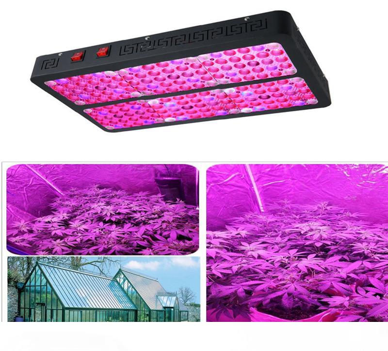 Double Chip 900W 1200W Full Spectrum LED Plant Grow Light Grow Tent Lamp Medical Hemp Hydroponics Indoor Vegetable Flower Lamp VEG BLOOM
Double Chip 900W 1200W Full Spectrum LED Plant Grow Light Grow Tent Lamp Medical Hemp Hydroponics Indoor Vegetable Flower Lamp VEG BLOOM