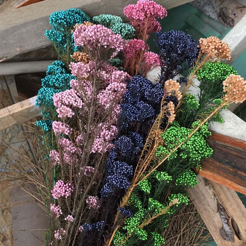 60g/Length 40-45CM Natural Fresh ramillete flores Eternell Millet Flower,Beauty Forever Flowers Bouquet For Farmhouse Home Decor, 09
60g/Length 40-45CM Natural Fresh ramillete flores Eternell Millet Flower,Beauty Forever Flowers Bouquet For Farmhouse Home Decor, 09