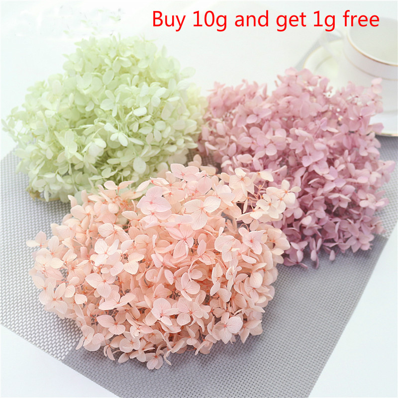 Eternal Life Anna small Hydrangea flower Long-term Preservation DIY Holiday Gift Box Material Wedding Decoration natural
Eternal Life Anna small Hydrangea flower Long-term Preservation DIY Holiday Gift Box Material Wedding Decoration natural