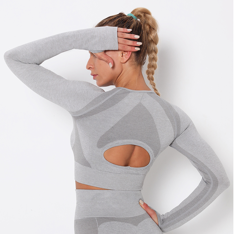 Seamless Gym Sports Shirts Long Sleeve Yoga Shirts Fitness Sports Crop Tops High Stretch Yoga Tops Workout Women, Black
Seamless Gym Sports Shirts Long Sleeve Yoga Shirts Fitness Sports Crop Tops High Stretch Yoga Tops Workout Women, Black