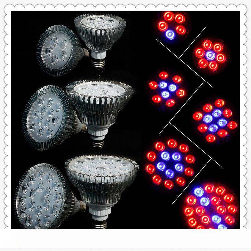 Full Spectrum LED Grow Lights 21W 27W 36W 45W 54W E27 LED Grow Lamp PAR 38 30 Bulb For Flower Plant Hydroponics System Grow Box Spotlight
Full Spectrum LED Grow Lights 21W 27W 36W 45W 54W E27 LED Grow Lamp PAR 38 30 Bulb For Flower Plant Hydroponics System Grow Box Spotlight