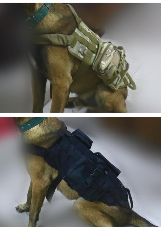 Tactical Equipment Dog Vest Training Hunting Molle Nylon Water-resistan Dog Vest Harness, Black
Tactical Equipment Dog Vest Training Hunting Molle Nylon Water-resistan Dog Vest Harness, Black
