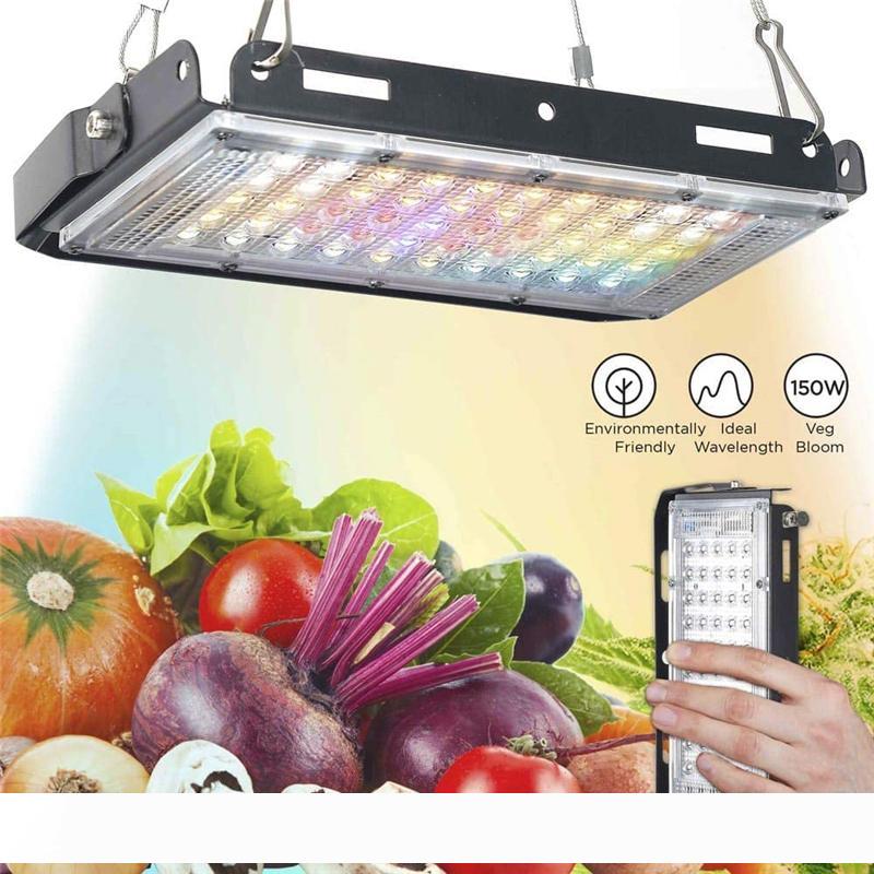 150W LED Grow Light Panel 85-265V Sunshine Full Spectrum Growing lamp for Indoor Plant Seedling Vegetation Flowering
150W LED Grow Light Panel 85-265V Sunshine Full Spectrum Growing lamp for Indoor Plant Seedling Vegetation Flowering