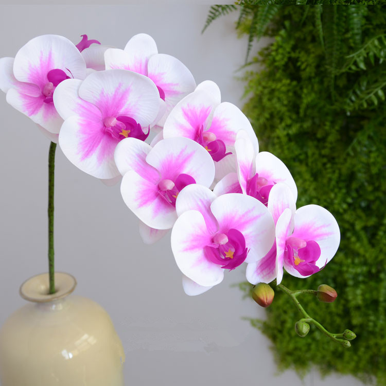 Real touch butterfly orchid artificial flower letax orchid artificial overall floral flowers for wedding, White
Real touch butterfly orchid artificial flower letax orchid artificial overall floral flowers for wedding, White