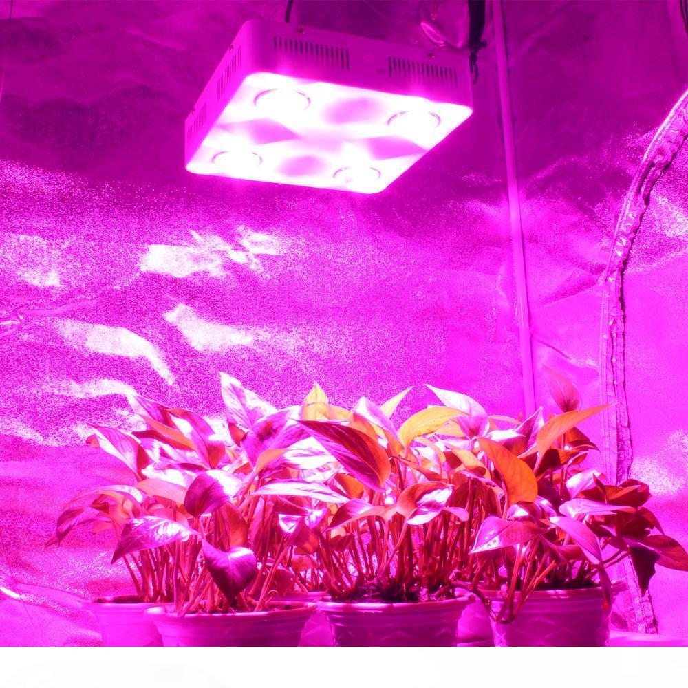 CF Grow 600W COB LED Grow Light Full Spectrum Indoor Hydroponic Greenhouse Plant Growth Lighting Replace UFO Growing Lamp
CF Grow 600W COB LED Grow Light Full Spectrum Indoor Hydroponic Greenhouse Plant Growth Lighting Replace UFO Growing Lamp