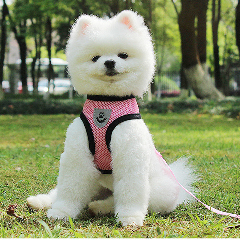 Pet Collars Dog Necklace Leash for Dog Puppy Accessories Collars and Harnesses for Big Harness and Leash Set