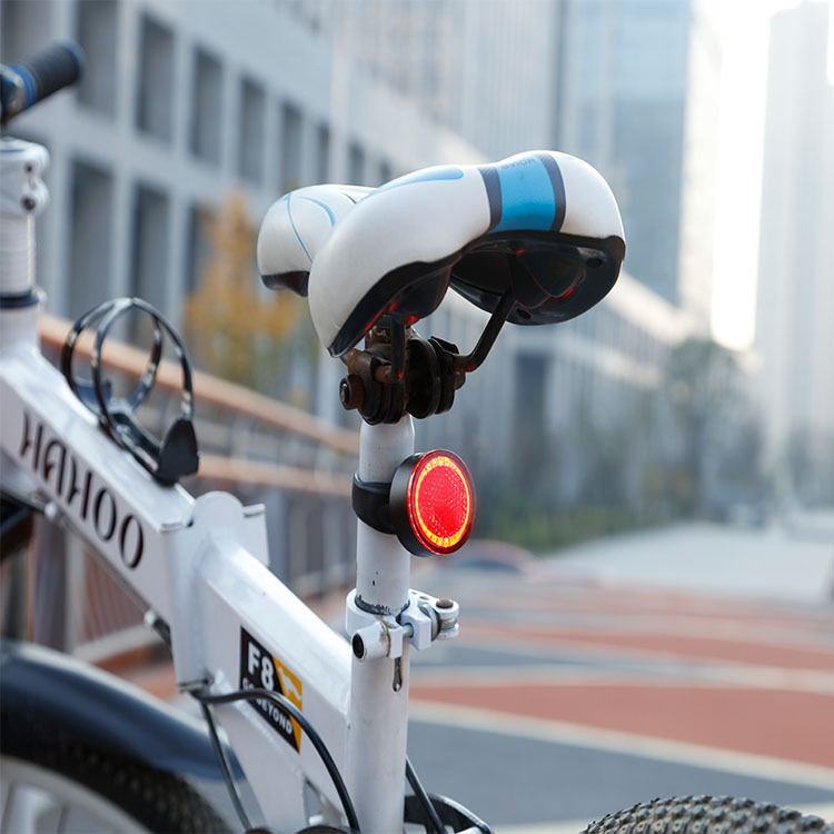 bike lights Metal Smart Sensor Brake Tail Light USB Rechargeable Bike Light Riding Safety Warning
bike lights Metal Smart Sensor Brake Tail Light USB Rechargeable Bike Light Riding Safety Warning