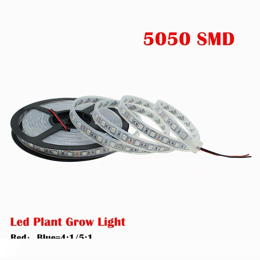 Silicone Waterproof 5M 300LEDS 5050 LED Plant Grow led Strip Light Full Spectrum 5050 Red Blue 4:1 5 :1 for Greenhouse
Silicone Waterproof 5M 300LEDS 5050 LED Plant Grow led Strip Light Full Spectrum 5050 Red Blue 4:1 5 :1 for Greenhouse