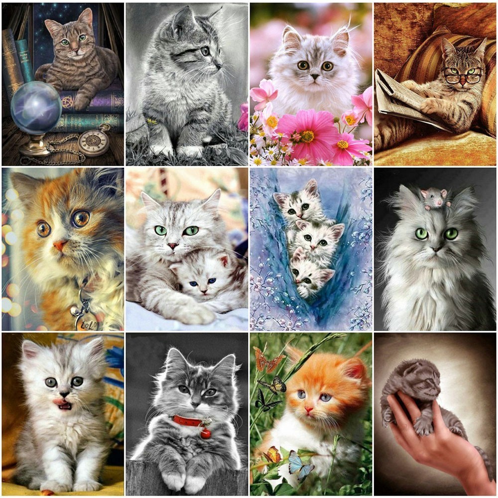 EverShine Diamond Painting Cat Full Square Diamond Embroidery Animals Picture Of Rhinestone Cross Stitch Diamond Mosaic Handwork
EverShine Diamond Painting Cat Full Square Diamond Embroidery Animals Picture Of Rhinestone Cross Stitch Diamond Mosaic Handwork