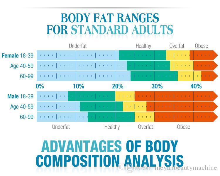 Full Body Fat Analyzer/Body Scanner Composition fats analyzer