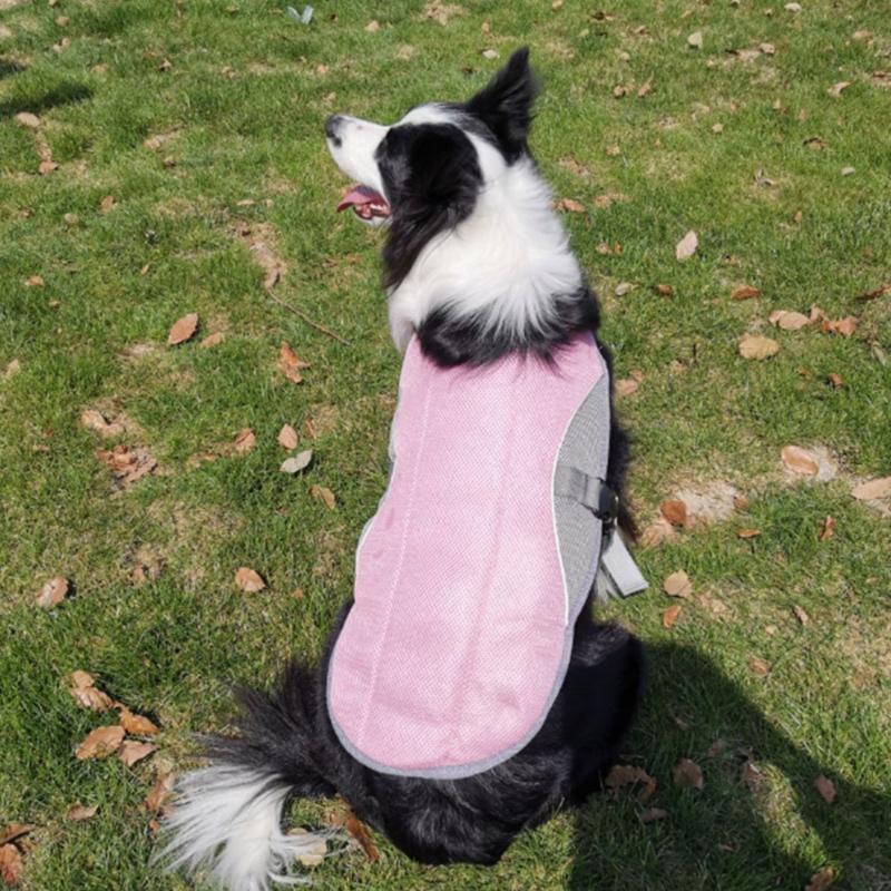 1pcs Pet dog clothes Summer Dog Cooling Vest Clothes Breathable Cooling Harness For Dogs Adjustable Mesh Reflective Vest coat, Yellow
1pcs Pet dog clothes Summer Dog Cooling Vest Clothes Breathable Cooling Harness For Dogs Adjustable Mesh Reflective Vest coat, Yellow