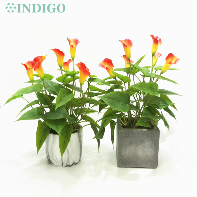 INDIGO- Sunset Calla Bouquet (3 flower+18l leaf) Root Calla Real Touch Wedding Outdoor Waterproof Flower Artificial Flower, 1 bouquet sunset
INDIGO- Sunset Calla Bouquet (3 flower+18l leaf) Root Calla Real Touch Wedding Outdoor Waterproof Flower Artificial Flower, 1 bouquet sunset