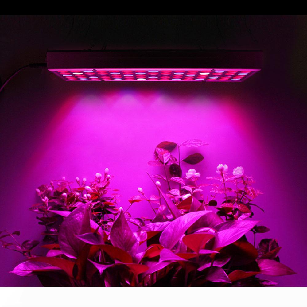 Growing Lamps LED Grow Light 25W AC85-265V Full Spectrum Plant Lighting Fitolampy For Plants Flowers Seedling Cultivation 10158
Growing Lamps LED Grow Light 25W AC85-265V Full Spectrum Plant Lighting Fitolampy For Plants Flowers Seedling Cultivation 10158