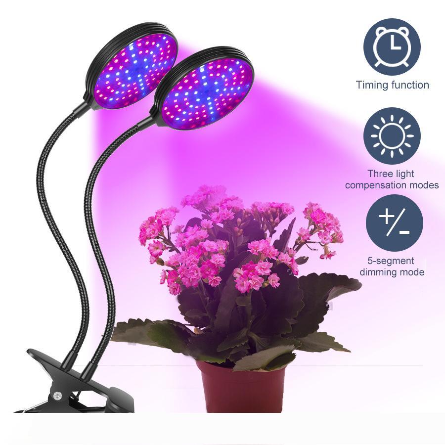 Led Grow Light Grow Tent Growing Box Lamp Cultivo Indoor Cob Led Full Spectrum Plant Light 2PC LOT,5PC LOTPC
Led Grow Light Grow Tent Growing Box Lamp Cultivo Indoor Cob Led Full Spectrum Plant Light 2PC LOT,5PC LOTPC