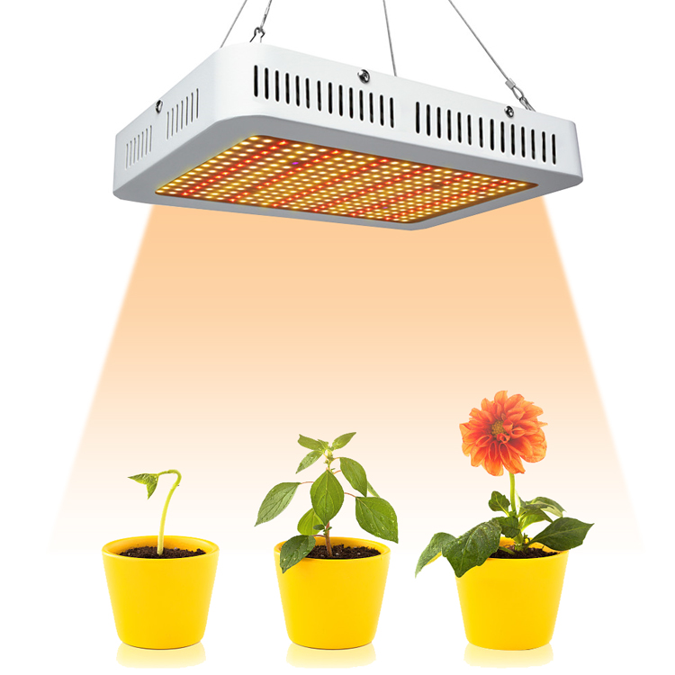 Wenyi Grow Light 1000w Samsung 5730 3500K LED Lampe à spectre complet à l'intérieur pour la floraison de jardin hydroponique en croissance hydrop