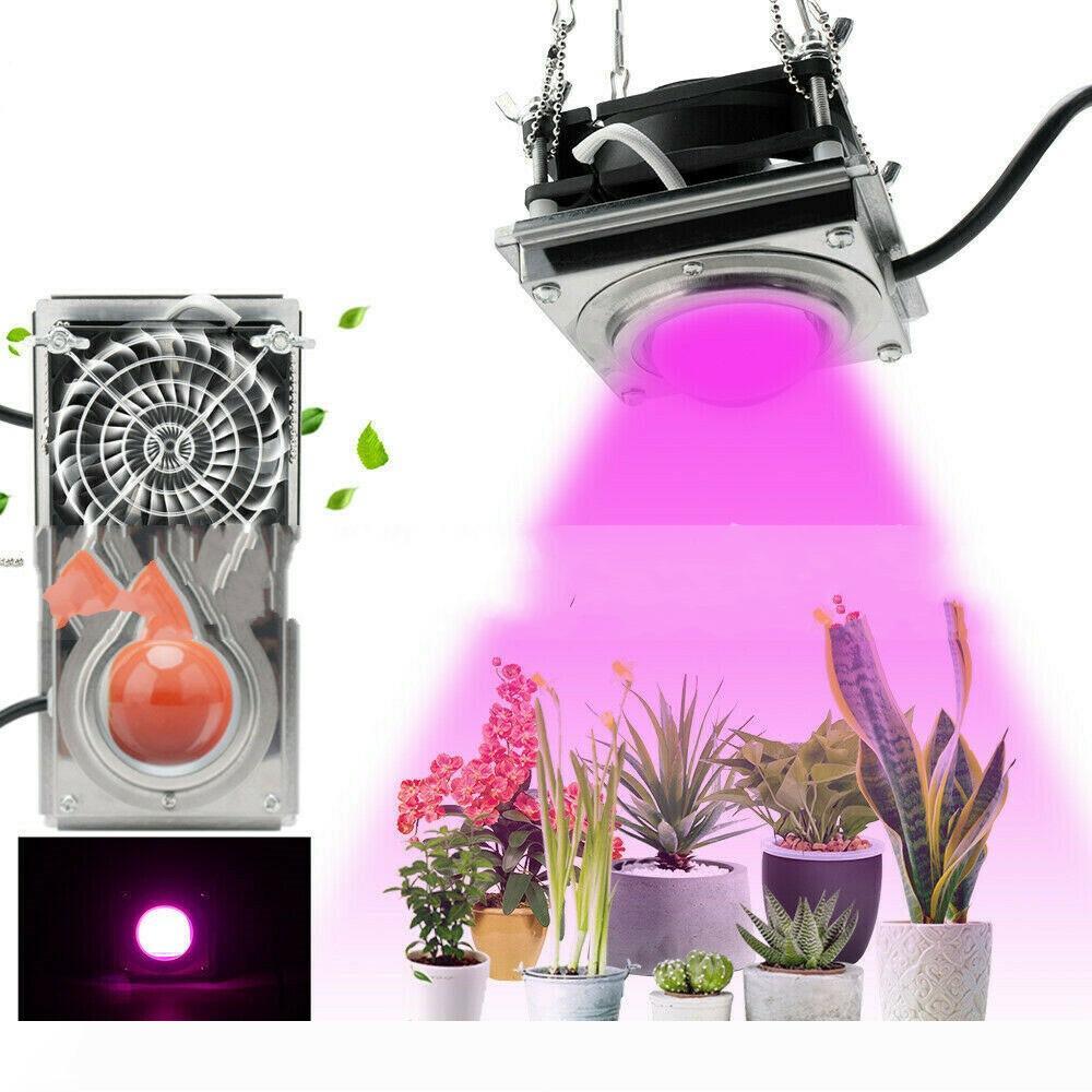 Full Spectrum Cob Grow Lights 50W 60W LED Greenhouse Vegetable Planting More Meat Full Grow Light
Full Spectrum Cob Grow Lights 50W 60W LED Greenhouse Vegetable Planting More Meat Full Grow Light