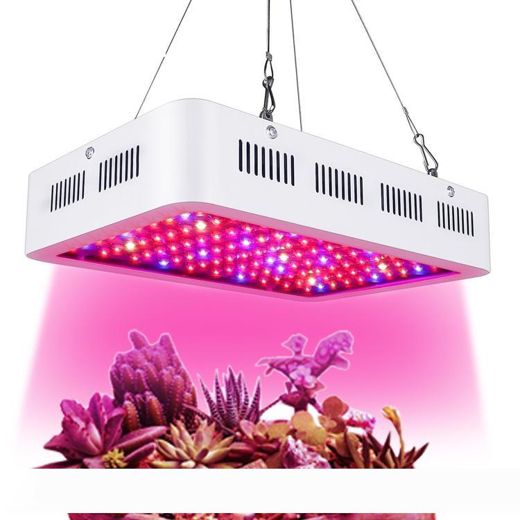 USA Stock High Power 1000W led grow Light Full Spectrum 380NM-840NM 1200W 1500W plant grow lights Box square double Chip
USA Stock High Power 1000W led grow Light Full Spectrum 380NM-840NM 1200W 1500W plant grow lights Box square double Chip