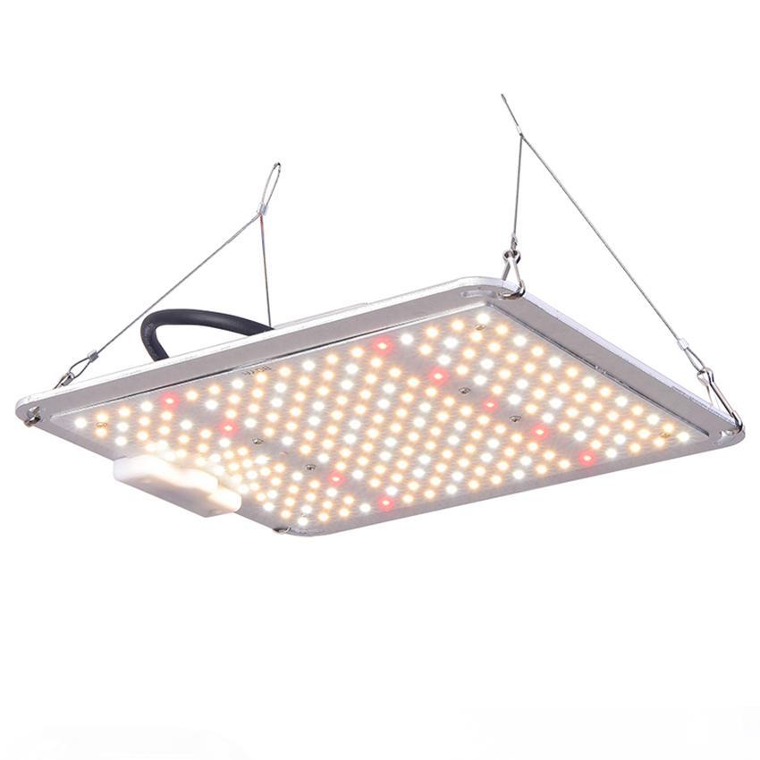Full Spectrum Grow Lights 1000W LED Phyto Lamp SF4000 Wholesale Plant 4x4 Spider Farmer Dimmer and Meanwell Driver For Indoor Growing Flowers Herb
Full Spectrum Grow Lights 1000W LED Phyto Lamp SF4000 Wholesale Plant 4x4 Spider Farmer Dimmer and Meanwell Driver For Indoor Growing Flowers Herb