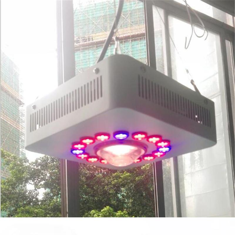 250W Full Spectrum LED COB Plant Grow Light Dual Mode Indoor Greenhouse Hydroponic Plants Veg and Blooming Lens Lamp
250W Full Spectrum LED COB Plant Grow Light Dual Mode Indoor Greenhouse Hydroponic Plants Veg and Blooming Lens Lamp