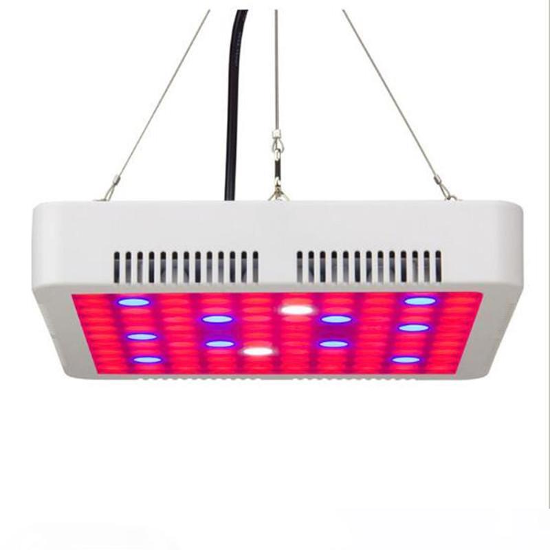 2pcs 300W 600W Full Spectrum LED Plant Grow Light R B W UV IR Indoor Flower Vegetable Plant Grow Lamp
2pcs 300W 600W Full Spectrum LED Plant Grow Light R B W UV IR Indoor Flower Vegetable Plant Grow Lamp