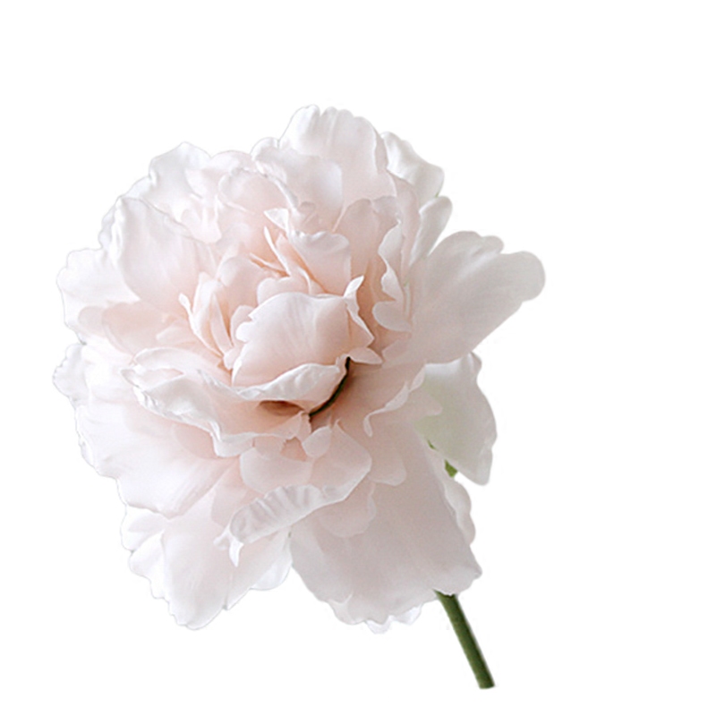 Dia 11cm 1 PCS peony silk fake flowers wedding decoration Chinese rose gentle soft color light pink Champagne
Dia 11cm 1 PCS peony silk fake flowers wedding decoration Chinese rose gentle soft color light pink Champagne