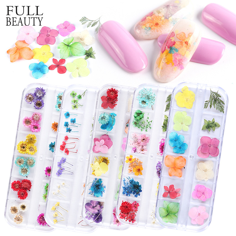 Nail Dried Flowers 12-Grid Boxed Colorful Daisy Starry Real Flower Nail Ornament uv gel polish
Nail Dried Flowers 12-Grid Boxed Colorful Daisy Starry Real Flower Nail Ornament uv gel polish
