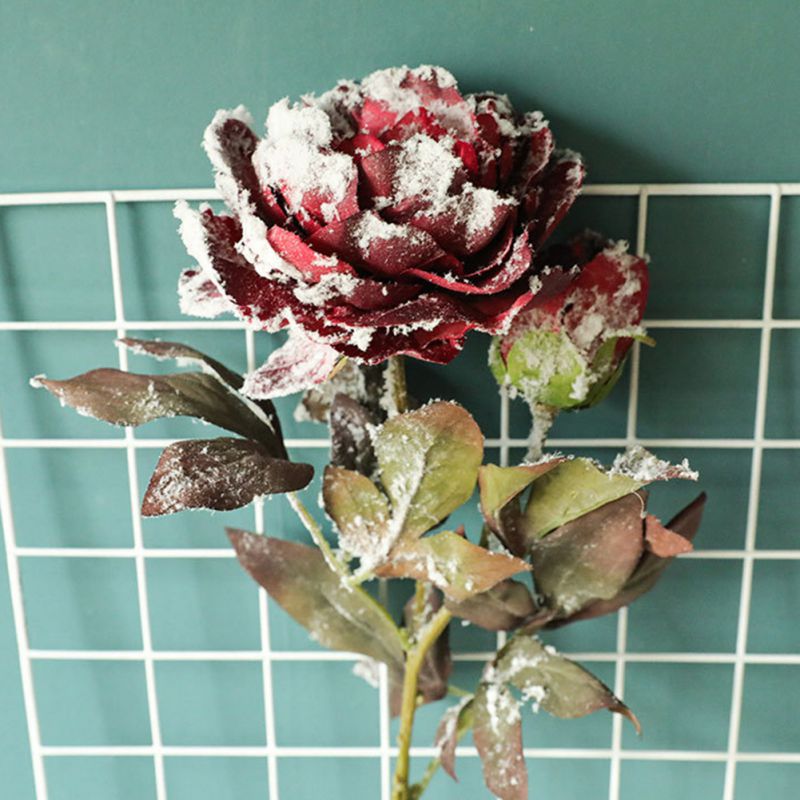 DIY Christmas Snow Peony Silk Hydrangeas Artificial Flower Wedding Flower For Bride Hand Silk Blooming Peony Fake Flowers
DIY Christmas Snow Peony Silk Hydrangeas Artificial Flower Wedding Flower For Bride Hand Silk Blooming Peony Fake Flowers