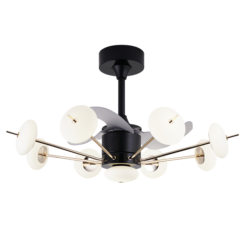 Remote Control Mute Bedroom Home Fan Light Postmodern Simplicity High Quality Glass Frequency Conversion Led Ceiling Fans Lamp
Remote Control Mute Bedroom Home Fan Light Postmodern Simplicity High Quality Glass Frequency Conversion Led Ceiling Fans Lamp