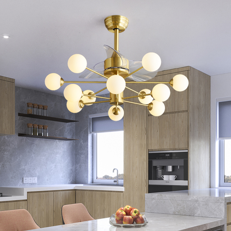 molecular chandelier with Fan 42 inch lamps lamp remote control copper Invisible Simple home living room three color
molecular chandelier with Fan 42 inch lamps lamp remote control copper Invisible Simple home living room three color