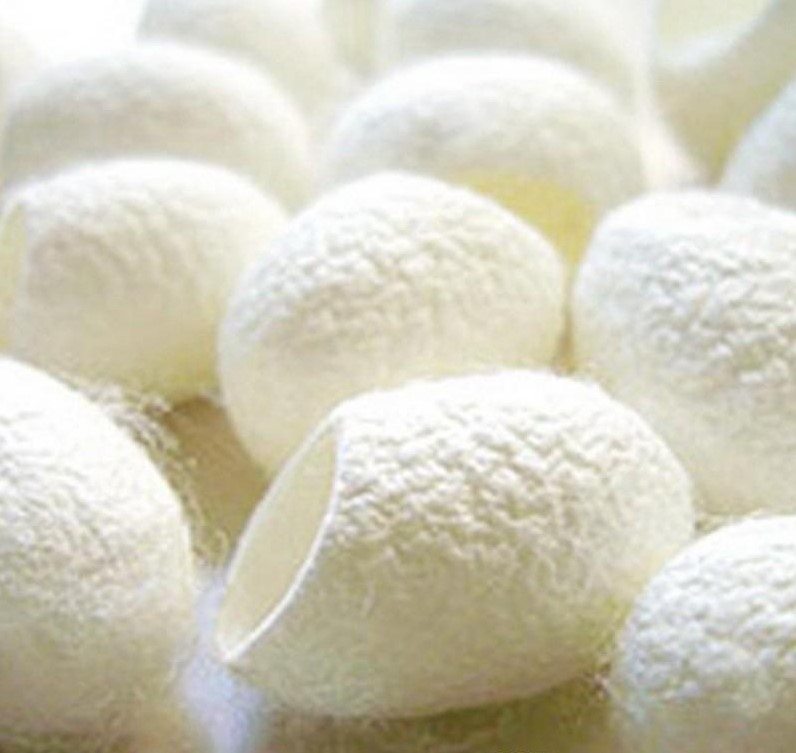 50pcs Fresh Natural Silk Ball Cocoons Facial Cleanser Remove Whiten Skin Exfoliating Care Scrub Face Massage
50pcs Fresh Natural Silk Ball Cocoons Facial Cleanser Remove Whiten Skin Exfoliating Care Scrub Face Massage