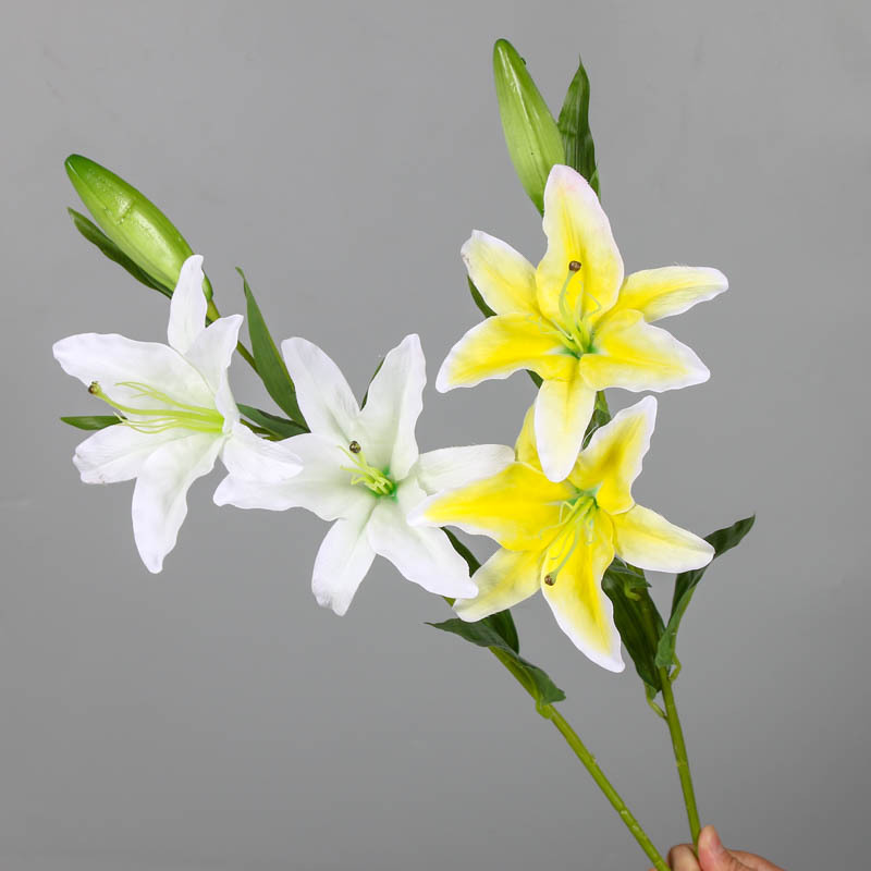 3 Heads Silk Lily Simulation Flower Single Real Touch Lily Home Table Decoration Simulation Flowers Branch, White
3 Heads Silk Lily Simulation Flower Single Real Touch Lily Home Table Decoration Simulation Flowers Branch, White