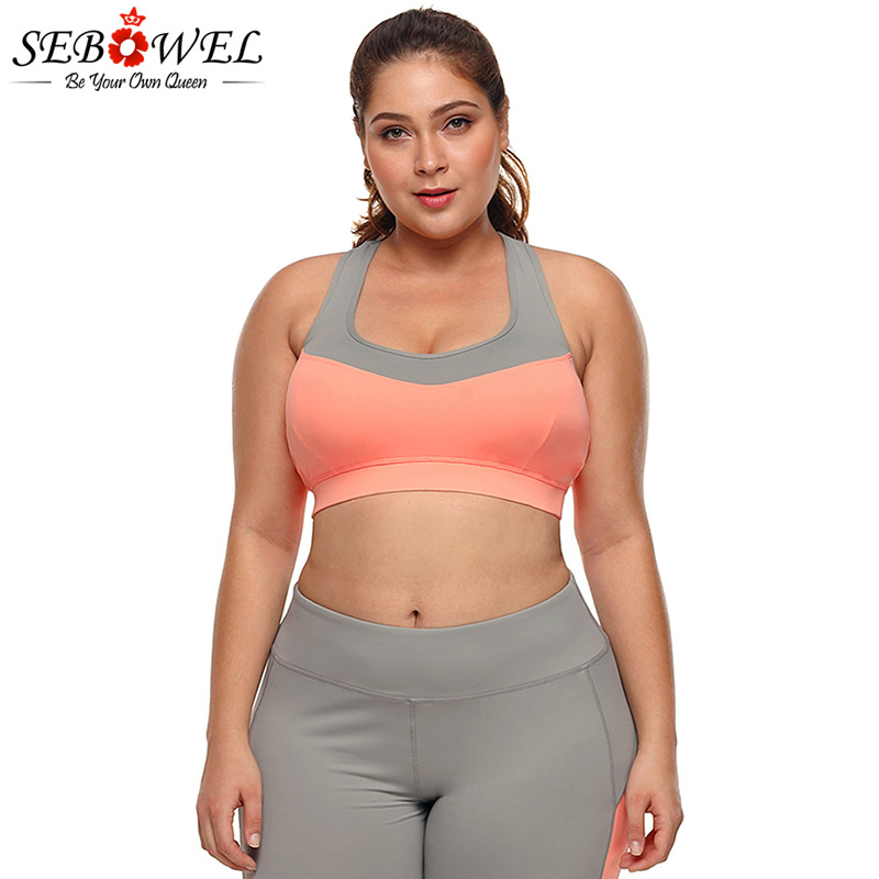 SEBOWEL Plus Size Coral Grey Crossed Keyhole Back Sports Bra Wonmen Yoga Fitness Shake Proof Stretch Bra Tops Seamless Pad Vest, Grey 14
SEBOWEL Plus Size Coral Grey Crossed Keyhole Back Sports Bra Wonmen Yoga Fitness Shake Proof Stretch Bra Tops Seamless Pad Vest, Grey 14