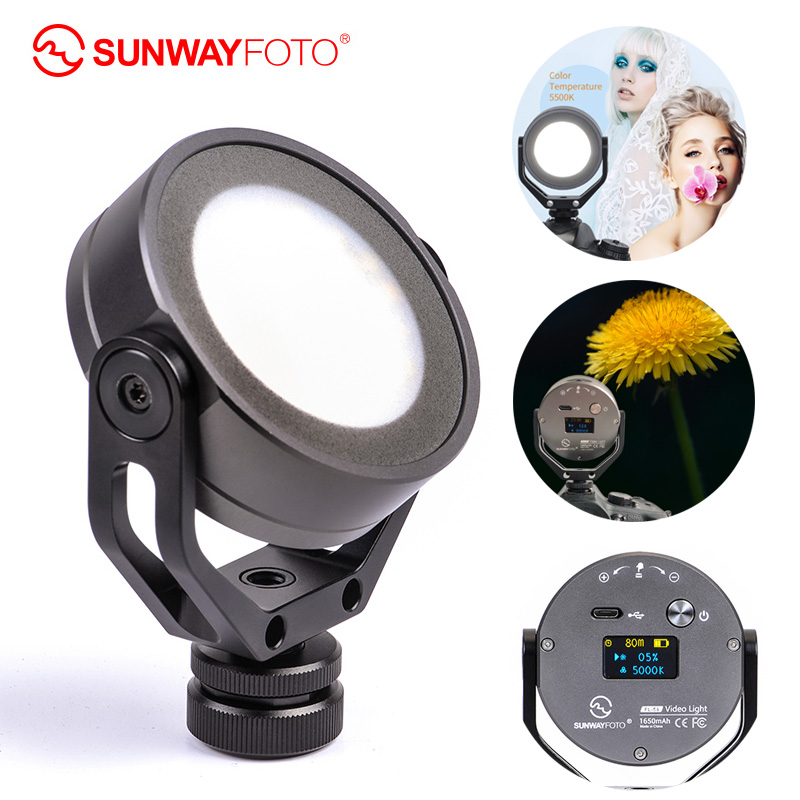 SUNWAYFOTO FL-54 LED Camera Photo Video Studio Light Photography Lighting Youtube Fotografia Led Photo Lights Outdoor Video
SUNWAYFOTO FL-54 LED Camera Photo Video Studio Light Photography Lighting Youtube Fotografia Led Photo Lights Outdoor Video