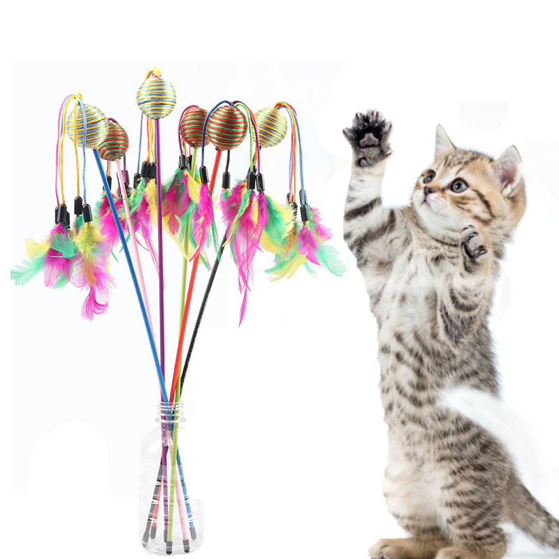 Pet Cat Toy Interactive Colorful Feather Ball Wand Cats Teaser Stick Toys 2020 Cat Supplies Pet Products
Pet Cat Toy Interactive Colorful Feather Ball Wand Cats Teaser Stick Toys 2020 Cat Supplies Pet Products