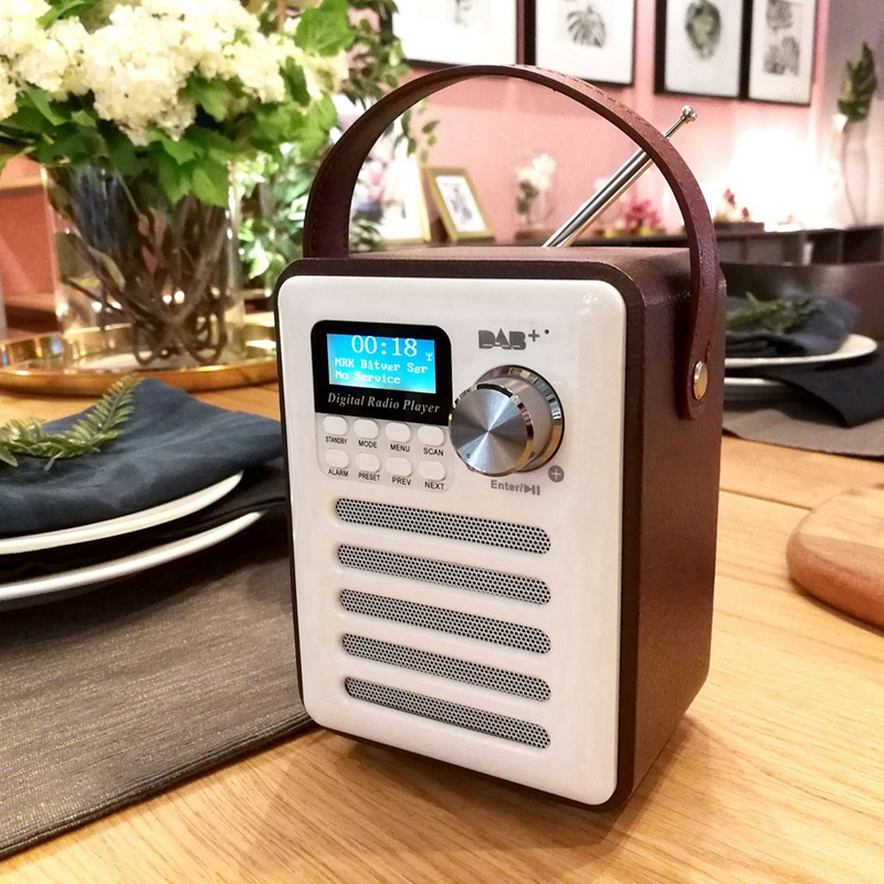 DabDab Tuner Digital Radio Receiver Bluetooth 50 Fm Broadcast AuxIn Mp3 Player Support Tf Card BuiltIn Battery1
