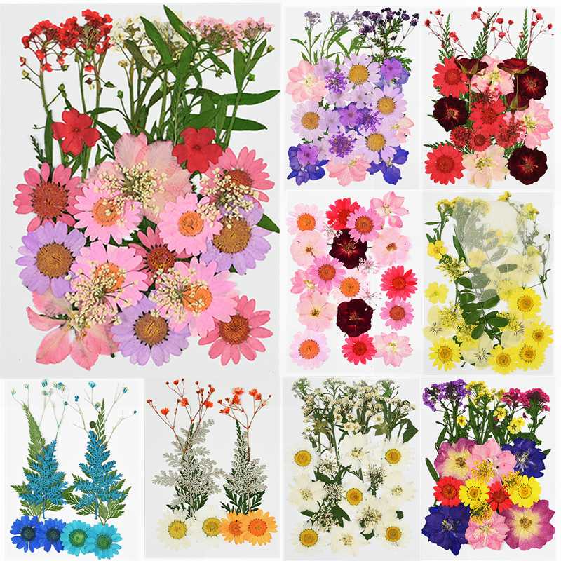 1PC Small Dried Flowers Pressed Daisy Flower Festival Party Home DIY Scrapbooking Decoration Dry Daisy Flowers Decor Supplies 8z, B15
1PC Small Dried Flowers Pressed Daisy Flower Festival Party Home DIY Scrapbooking Decoration Dry Daisy Flowers Decor Supplies 8z, B15
