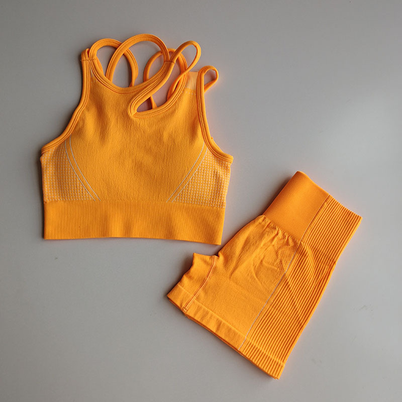 Quick Dry 2 Piece Gym Set Workout Clothes Women Sport Bra + Seamless Fitness Shorts Sports Wear Gym Clothing Athletic Yoga Set