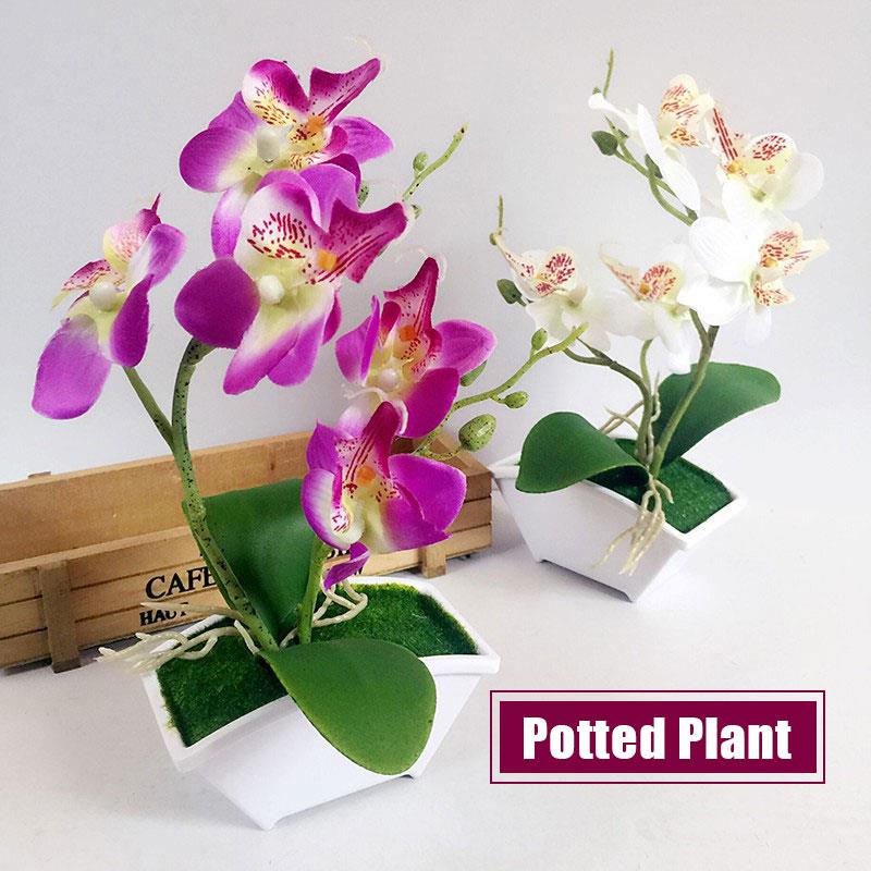 Fake Plant Moth Orchid Plastic Artificial Flower Simulation Flower Fashion Decoration Gift Garden, White
Fake Plant Moth Orchid Plastic Artificial Flower Simulation Flower Fashion Decoration Gift Garden, White