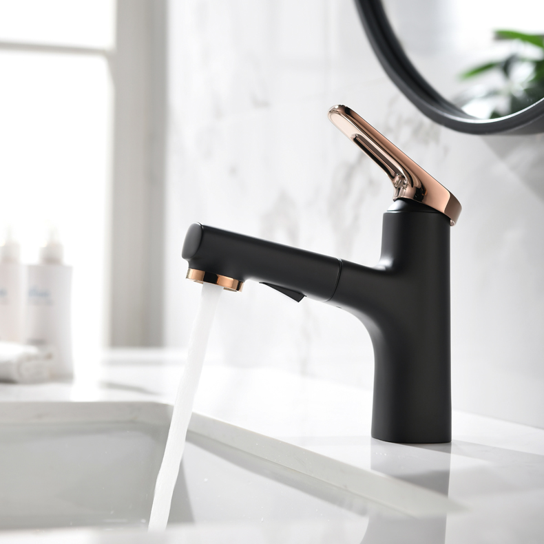 Top quality pull out brass bathroom sink faucet with two functions pull out spray shower nozzle fashion basin mixer faucet
Top quality pull out brass bathroom sink faucet with two functions pull out spray shower nozzle fashion basin mixer faucet