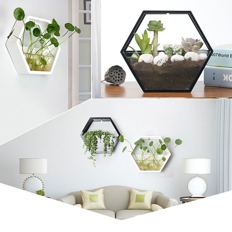 Wall Mounted Hanging Plant Pot Balcony Planter Basket Flower Garden Hanging Scindapsus Planter Supply Plants Racks Home Decor Y200723
Wall Mounted Hanging Plant Pot Balcony Planter Basket Flower Garden Hanging Scindapsus Planter Supply Plants Racks Home Decor Y200723