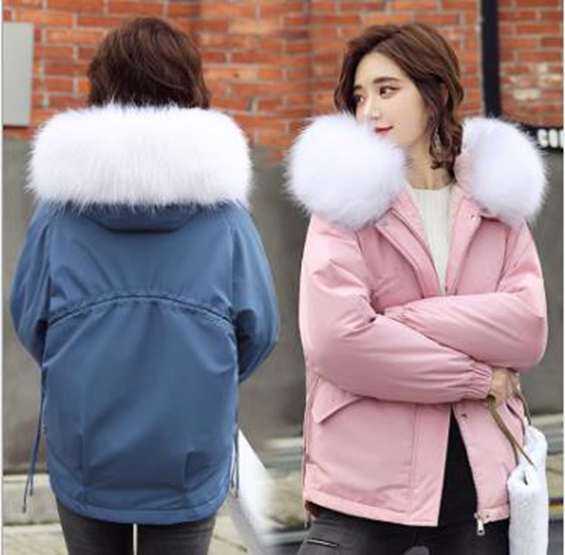 Wholesale new women's big fur collar plus velvet short ins student cotton padded jacket, Gray
Wholesale new women's big fur collar plus velvet short ins student cotton padded jacket, Gray