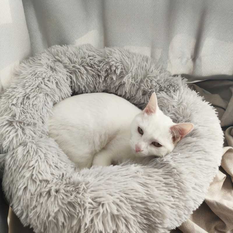 6 Sizes Round Plush Cat Bed House Cat Mat Winter Warm Sleeping Cats Nest Soft Dog Basket Pet Cushion Portable Pets Supplies
6 Sizes Round Plush Cat Bed House Cat Mat Winter Warm Sleeping Cats Nest Soft Dog Basket Pet Cushion Portable Pets Supplies
