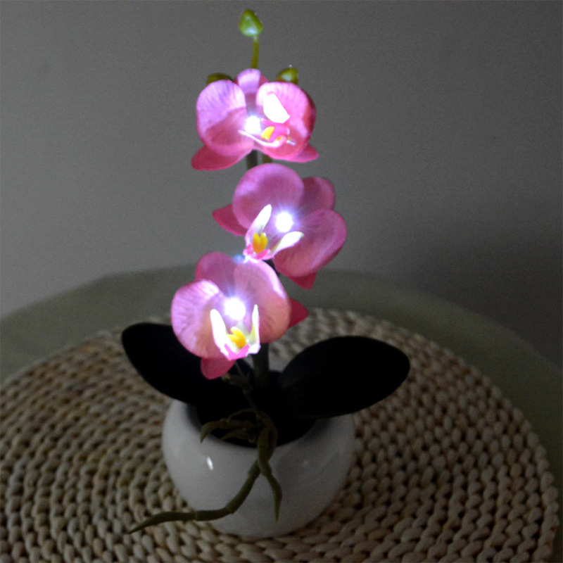 LED 3 Butterfly Orchids Bonsai Wedding Party Home Decor Artificia Flowers Christmas Decorations for Home Lantern, Pink
LED 3 Butterfly Orchids Bonsai Wedding Party Home Decor Artificia Flowers Christmas Decorations for Home Lantern, Pink