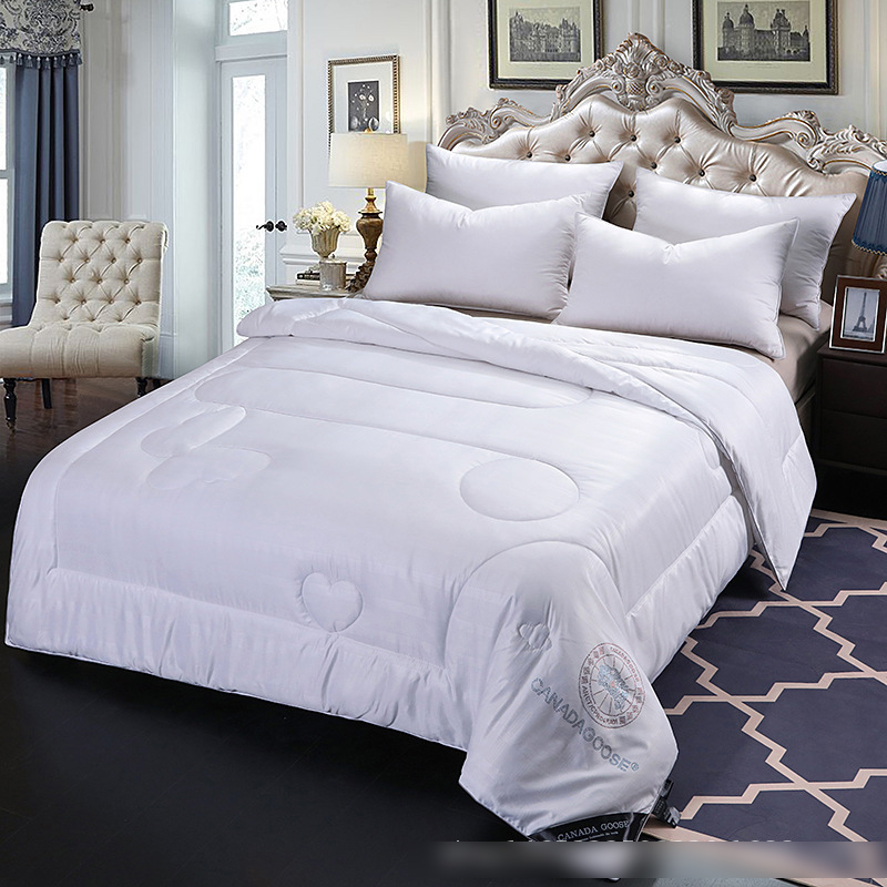 Winter Mulberry Silk Duvet Comforter Queen Size Natural Royal Silk Duvets Thick warm Qulited Bedspread Cover Blanket Quilts, 02
Winter Mulberry Silk Duvet Comforter Queen Size Natural Royal Silk Duvets Thick warm Qulited Bedspread Cover Blanket Quilts, 02