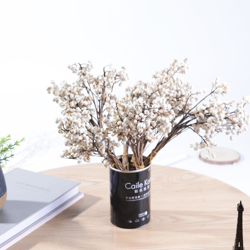 1 Bunch Of Plastic Natural Tallow Berry Dried White Berry Branch For Home Wedding Christmas Flower Core Accessories Fake Plant
1 Bunch Of Plastic Natural Tallow Berry Dried White Berry Branch For Home Wedding Christmas Flower Core Accessories Fake Plant