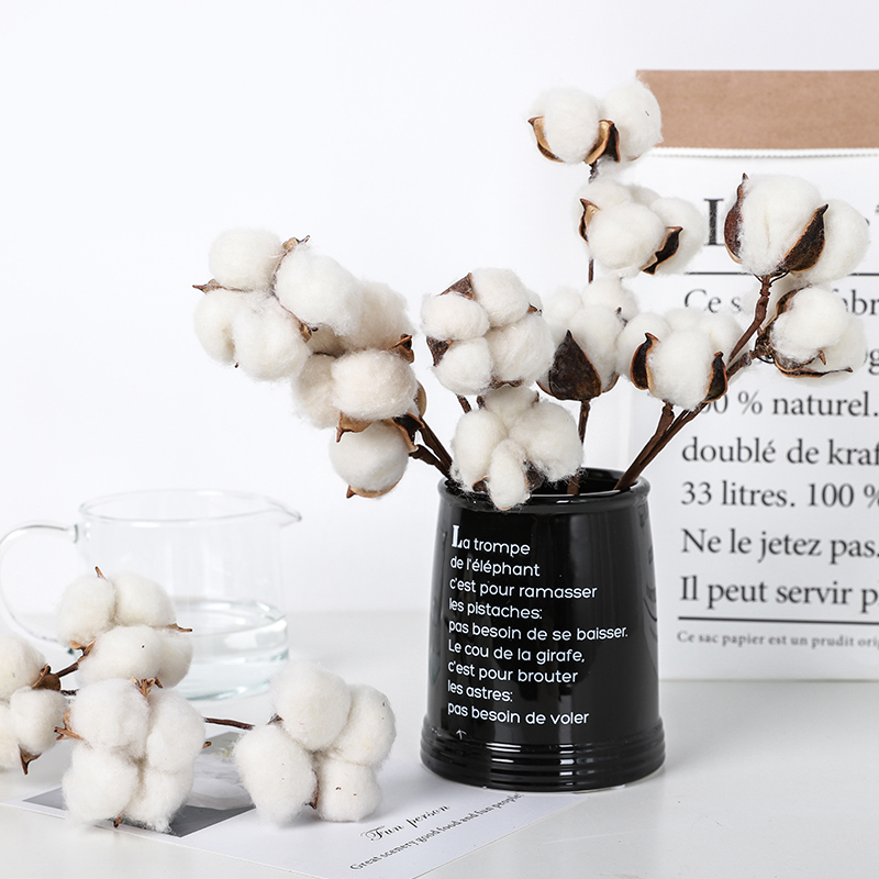 50cm 10 Head Naturally Dried Cotton Flower Artificial Plants Floral Branch for Wedding Party Home Vase Flowers Arrangement Decor, 50cm flower branch
50cm 10 Head Naturally Dried Cotton Flower Artificial Plants Floral Branch for Wedding Party Home Vase Flowers Arrangement Decor, 50cm flower branch