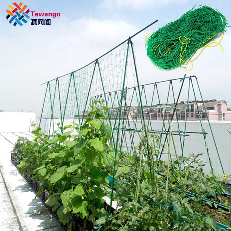 Tewango Heavy Duty Nylon Net Support for Cucumber Morning Glory Petunia Flowers Veggie Trellis Net Plant Climbing Vine, 90x180
Tewango Heavy Duty Nylon Net Support for Cucumber Morning Glory Petunia Flowers Veggie Trellis Net Plant Climbing Vine, 90x180